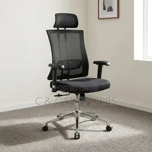 Orthopedic High Back Chair With Lumber Support