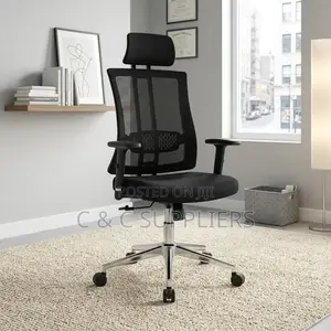 Orthopedic High Back Chair With Lumber Support