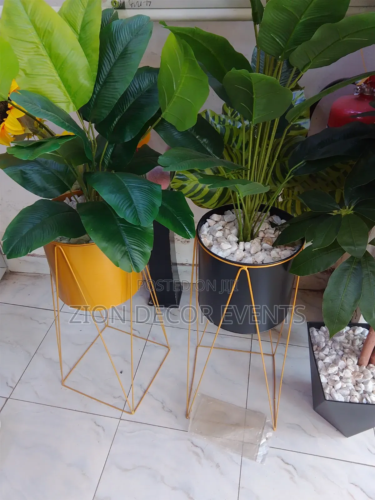 Zion Decor Events