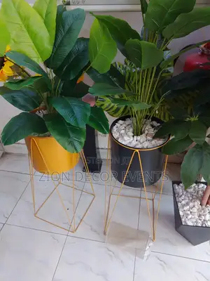 Zion Decor Events