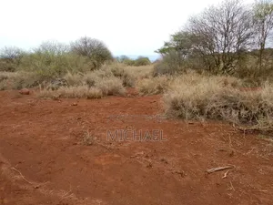 Prime Plots for Sale– Kimana Town