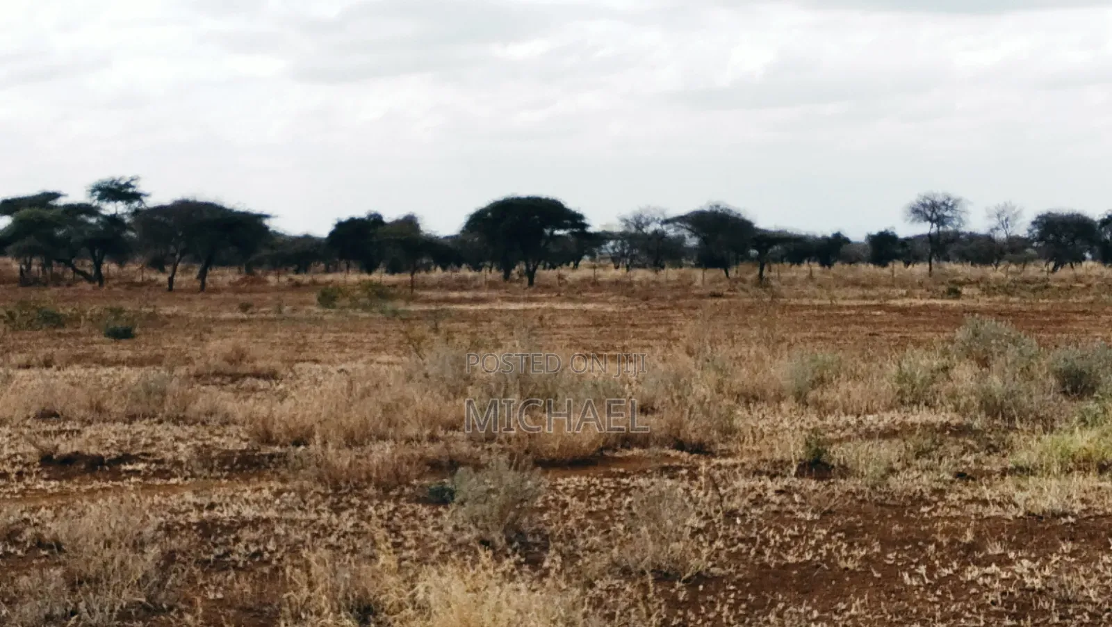 Prime Plots for Sale– Kimana Town