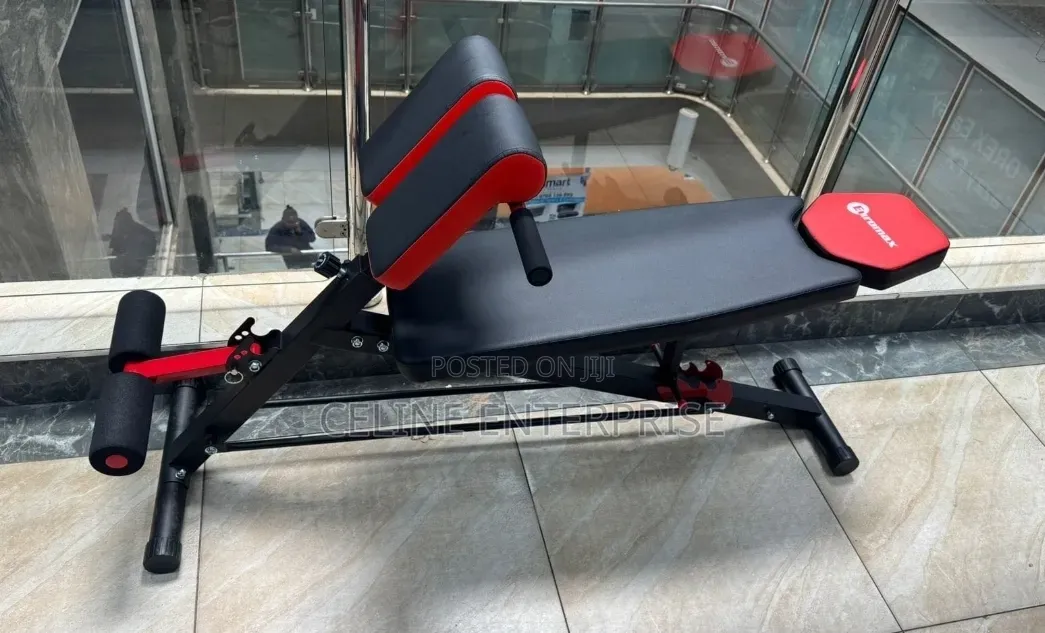 Work Out Gym Bench