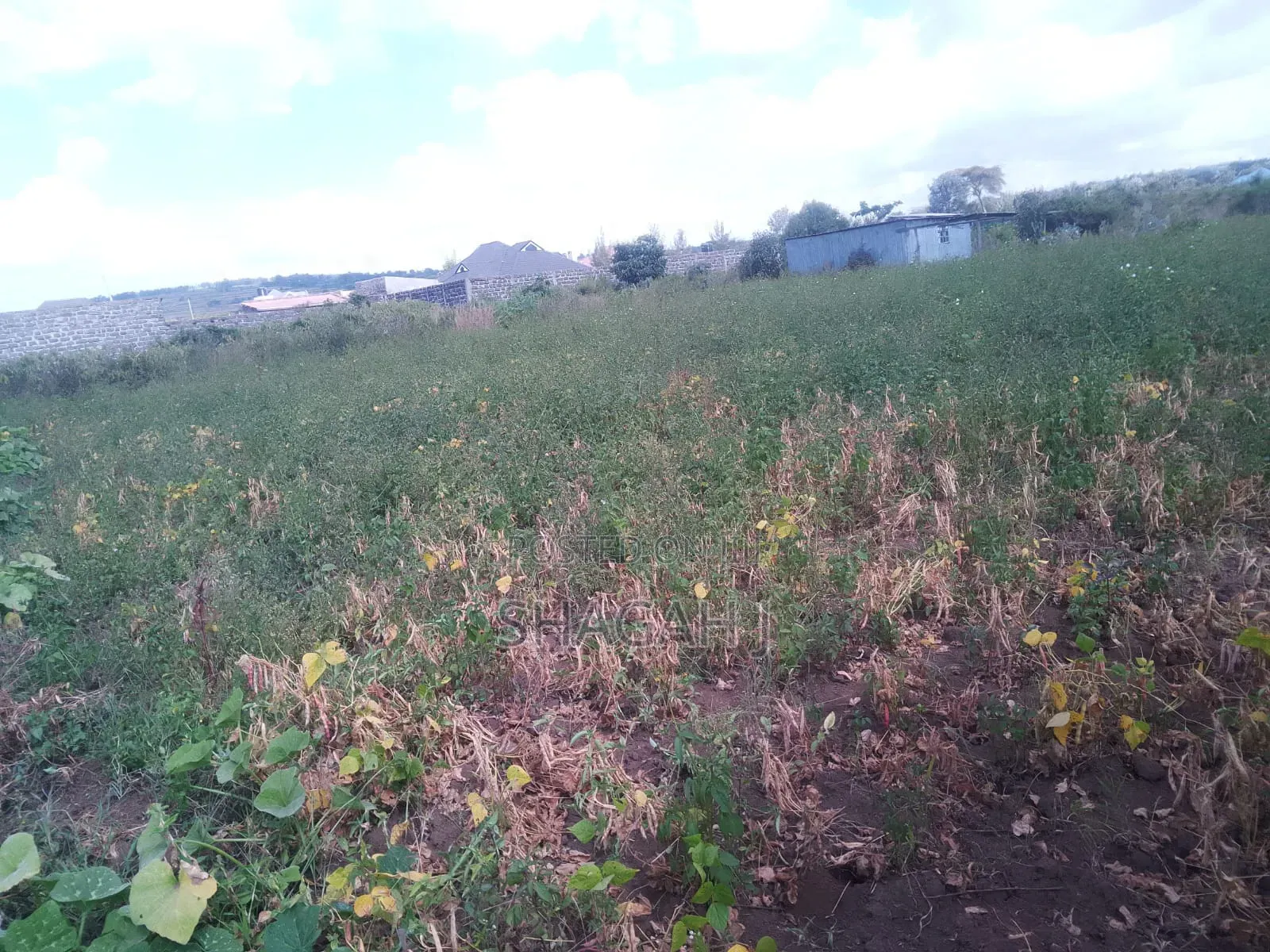 50×100 Plot for Sale in Nakuru
