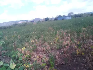 50×100 Plot for Sale in Nakuru
