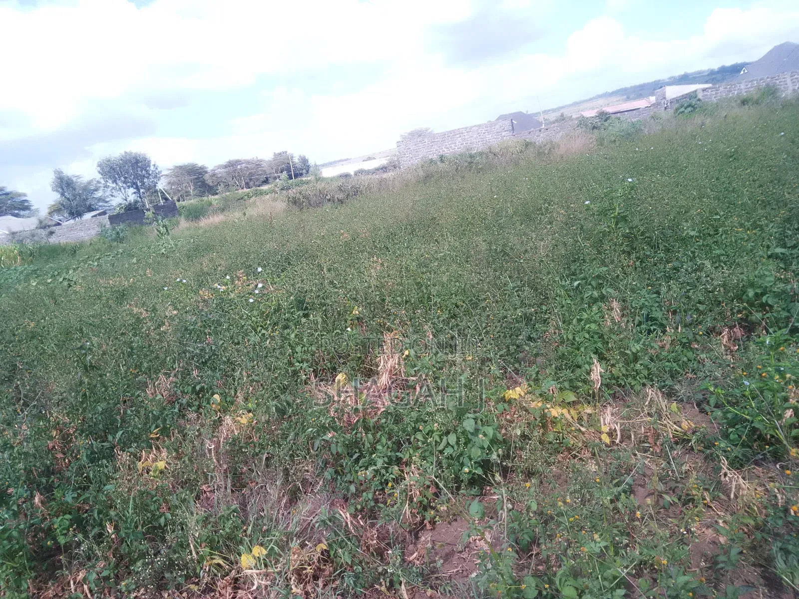 50×100 Plot for Sale in Nakuru