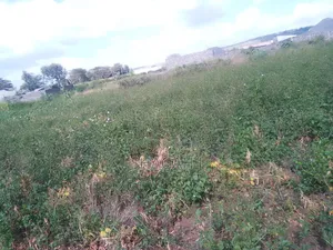 50×100 Plot for Sale in Nakuru