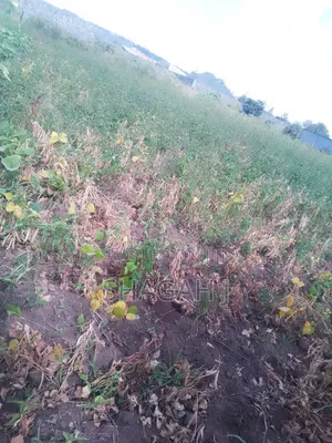 50×100 Plot for Sale in Nakuru