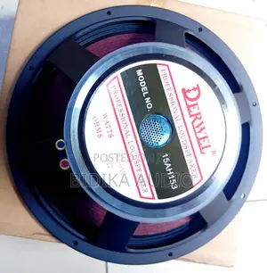 Dewell Naked Speaker