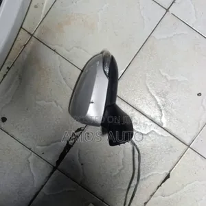 Fielder/Axio 2012 (161) Side Mirror