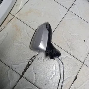 Fielder/Axio 2012 (161) Side Mirror