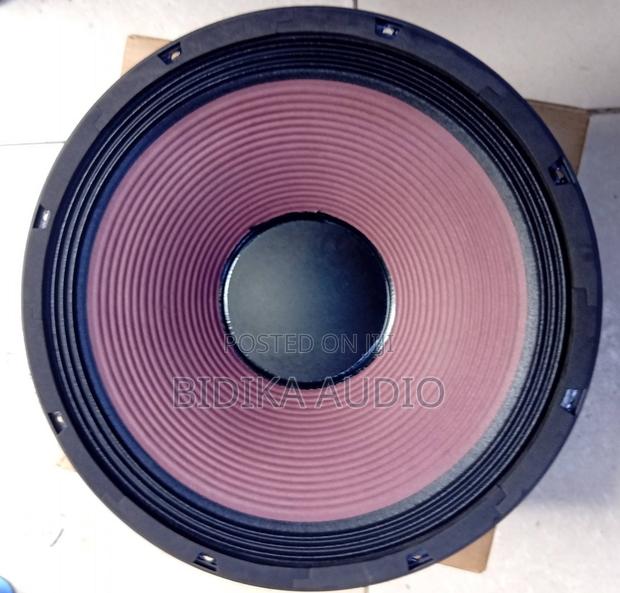 Dewell Naked Speaker - main view