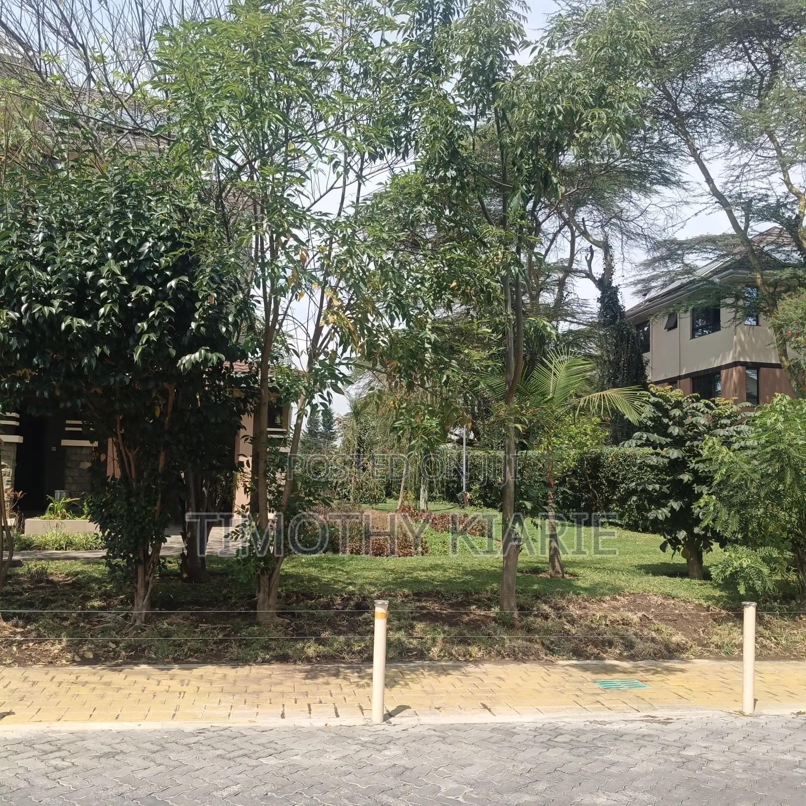 Plot in Gachie