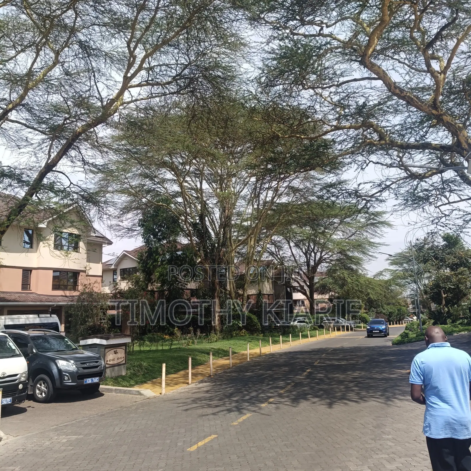 Plot in Gachie