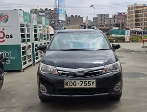 Toyota Corolla Fielder 2015 Black