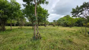 1 Acre of Lands for Sale in Diani
