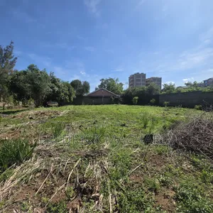 2Adjacent Commercial Plot for Sale Kamakis