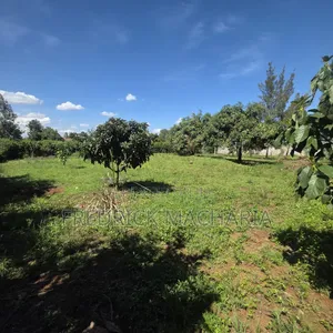 2Adjacent Commercial Plot for Sale Kamakis