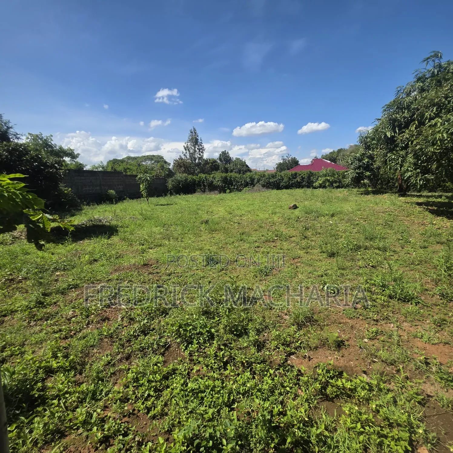 2Adjacent Commercial Plot for Sale Kamakis
