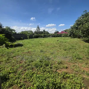 2Adjacent Commercial Plot for Sale Kamakis