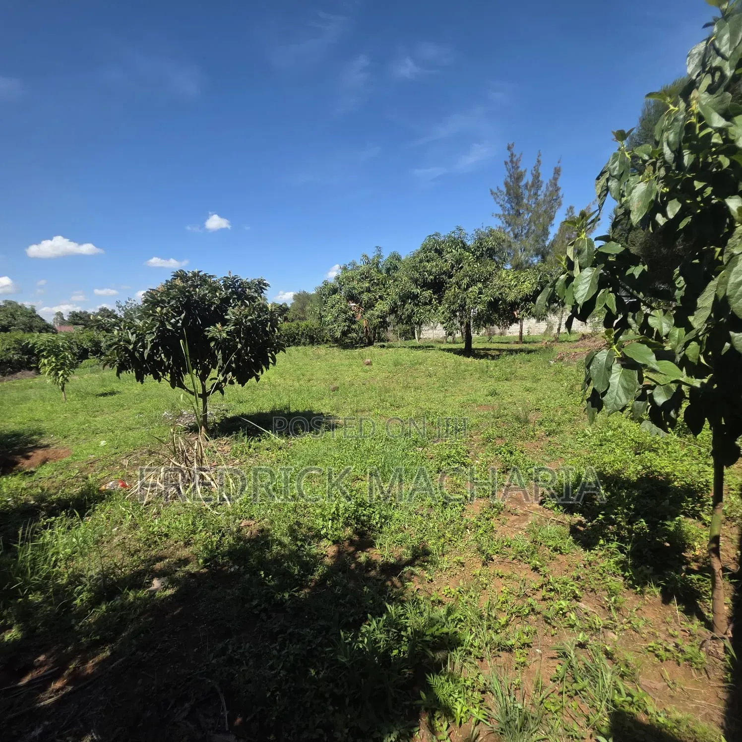 2Adjacent Commercial Plot for Sale Kamakis