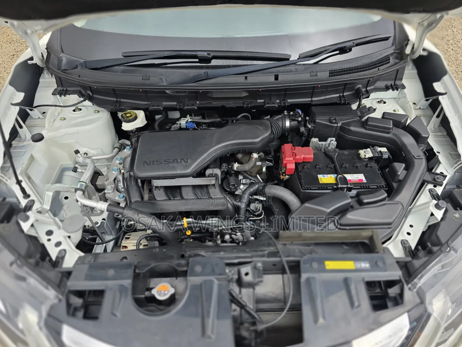 Nissan X-Trail 2019 Pearl