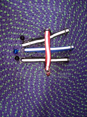 Collar With Bell and Reflective for Cat, Kitten, Puppy