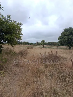 50x100plots in Ngong