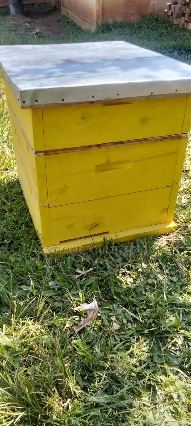 Langstroth Beehives - thumbnail 2