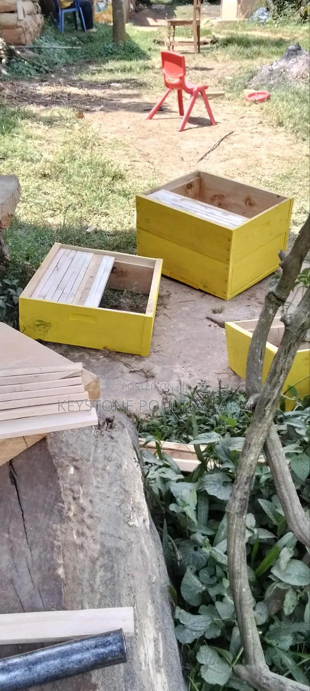 Langstroth Beehives - thumbnail 3