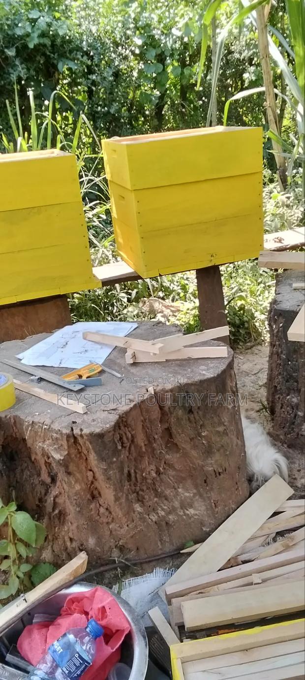 Langstroth Beehives - thumbnail 6