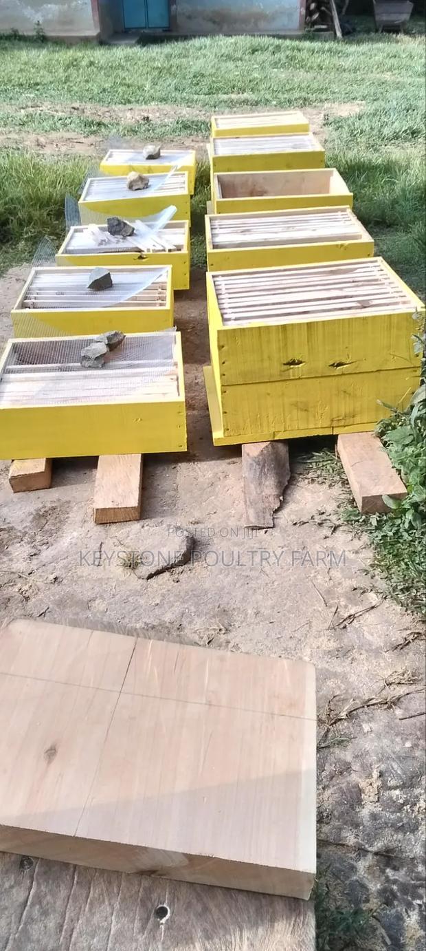 Langstroth Beehives - thumbnail 8