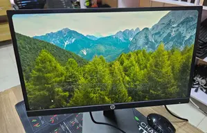 HP P22h G4 22 Inch Monitor Full Hd 1080*1920
60hz
Hdmi/Display/Vga