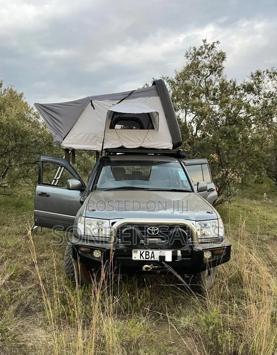 Toyota Land Cruiser 2001 Gray