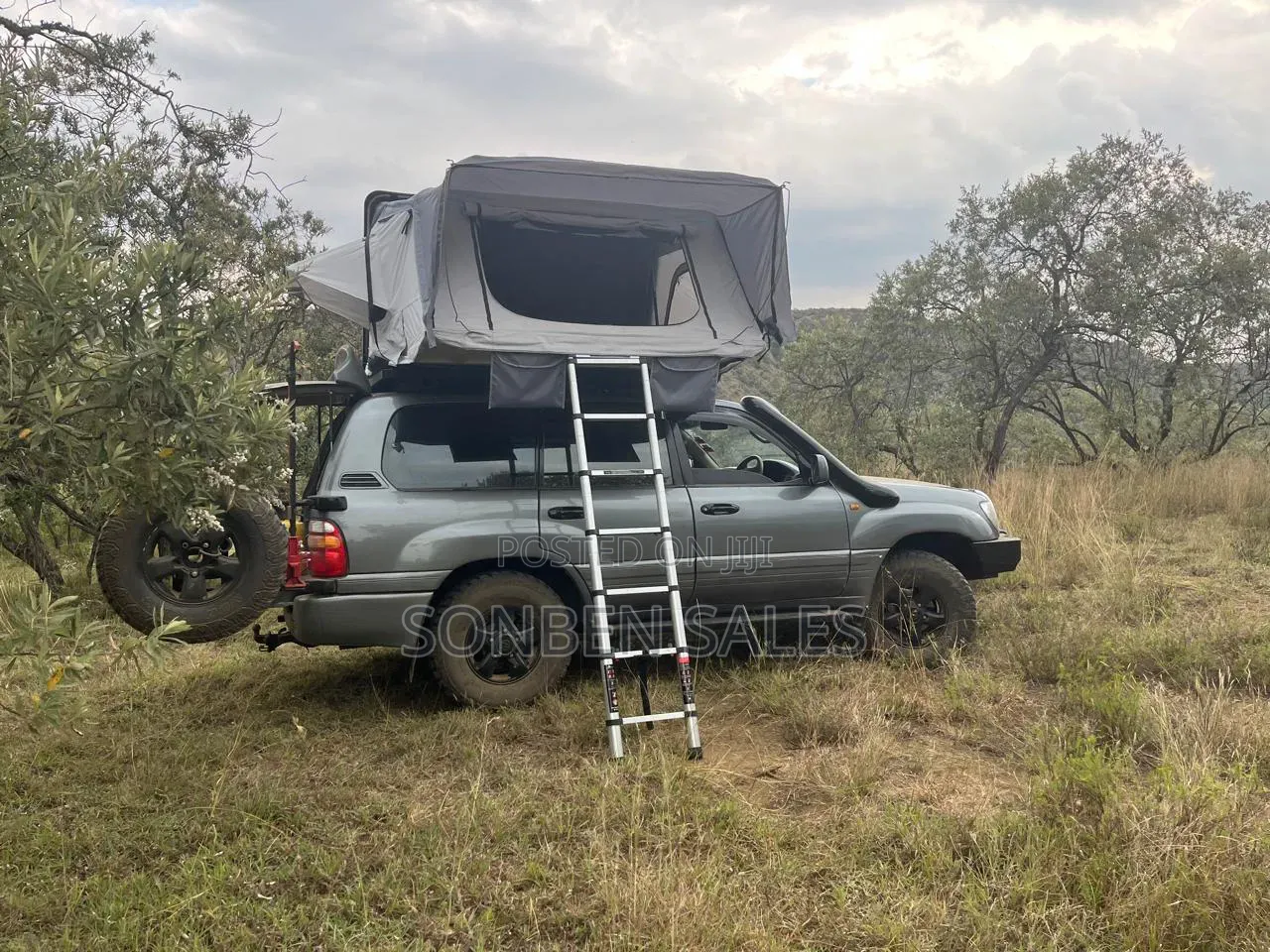 Toyota Land Cruiser 2001 Gray