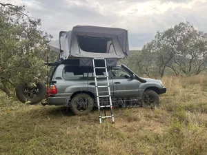 Toyota Land Cruiser 2001 Gray