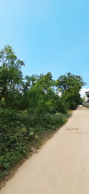 For Sale 3.2 Acres Prime 2nd Raw Land Diani