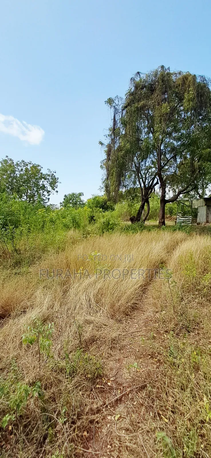 For Sale 3.2 Acres Prime 2nd Raw Land Diani