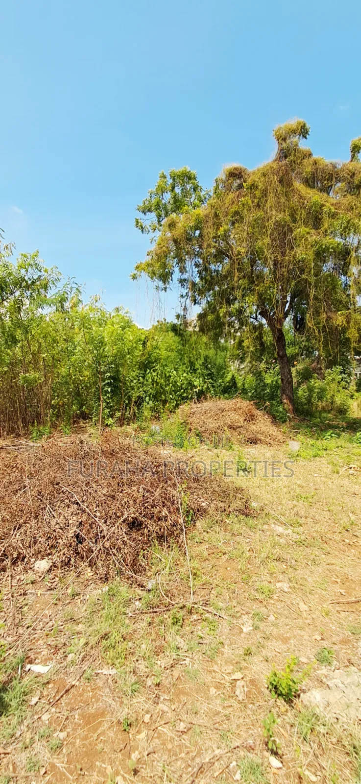 For Sale 3.2 Acres Prime 2nd Raw Land Diani