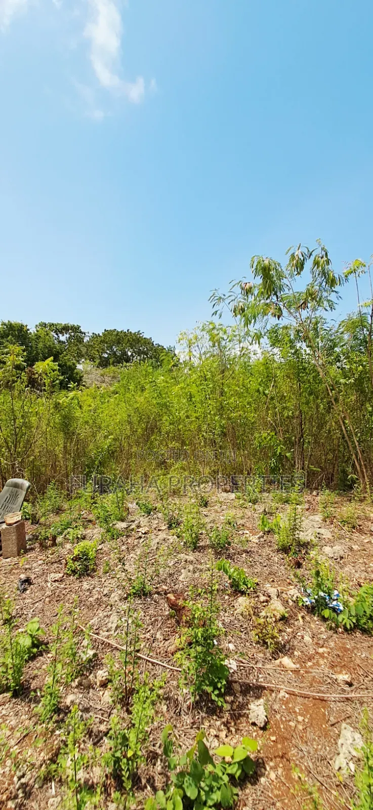For Sale 3.2 Acres Prime 2nd Raw Land Diani
