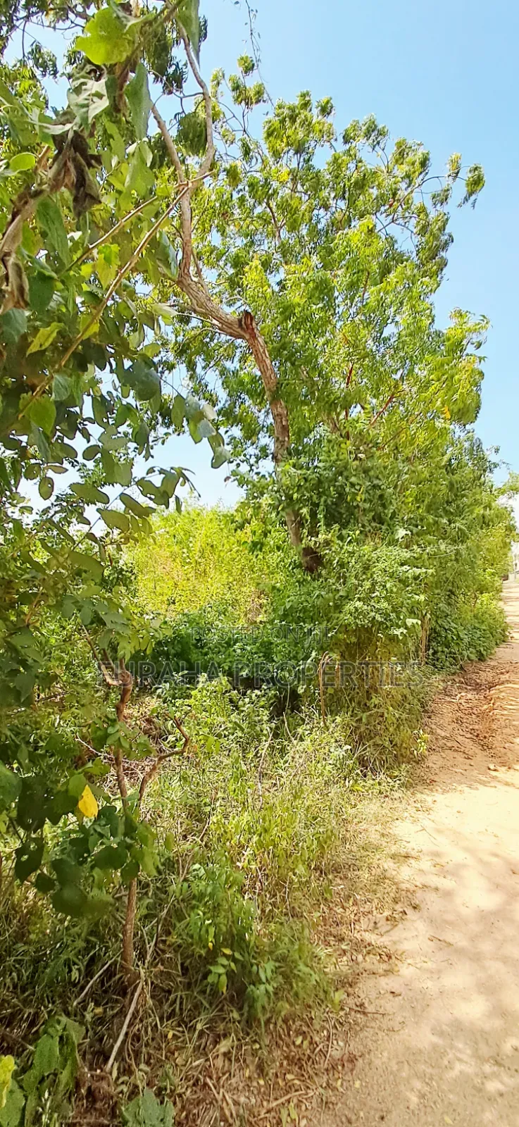 For Sale 3.2 Acres Prime 2nd Raw Land Diani