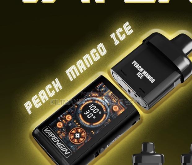 Vapengin Eros Puffs Starter Kit at 2700