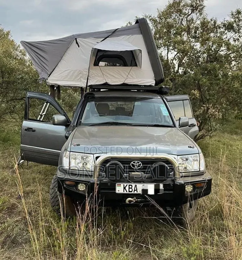 Toyota Land Cruiser 2001 Gray