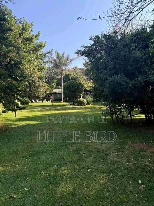 8bdrm Villa in Hardy for sale - thumbnail 6
