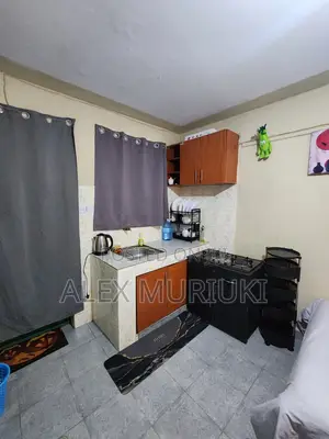 Neon Studio Airbnb in Juja Near Jkuat