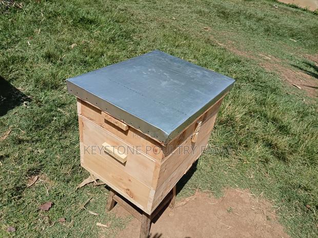 Langstrothbeehives - main view