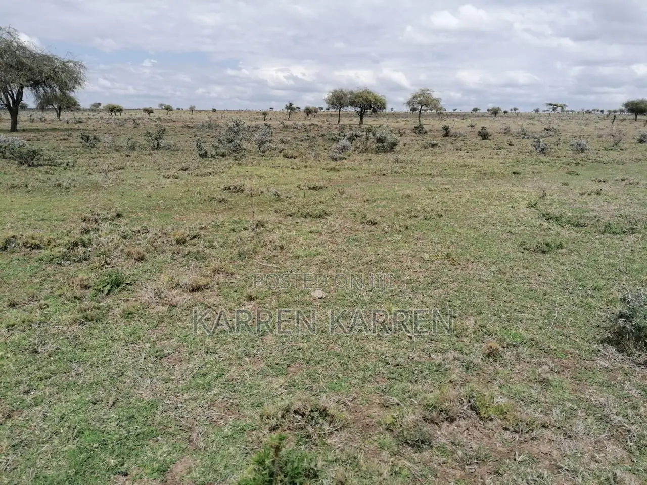 3.5 Acres for Sale in Nanyuki With Mt Kenya Views – KSh Per Acre