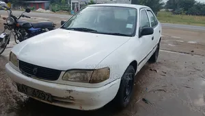 Toyota Corolla 2000 White