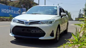Toyota Axio 2019 White