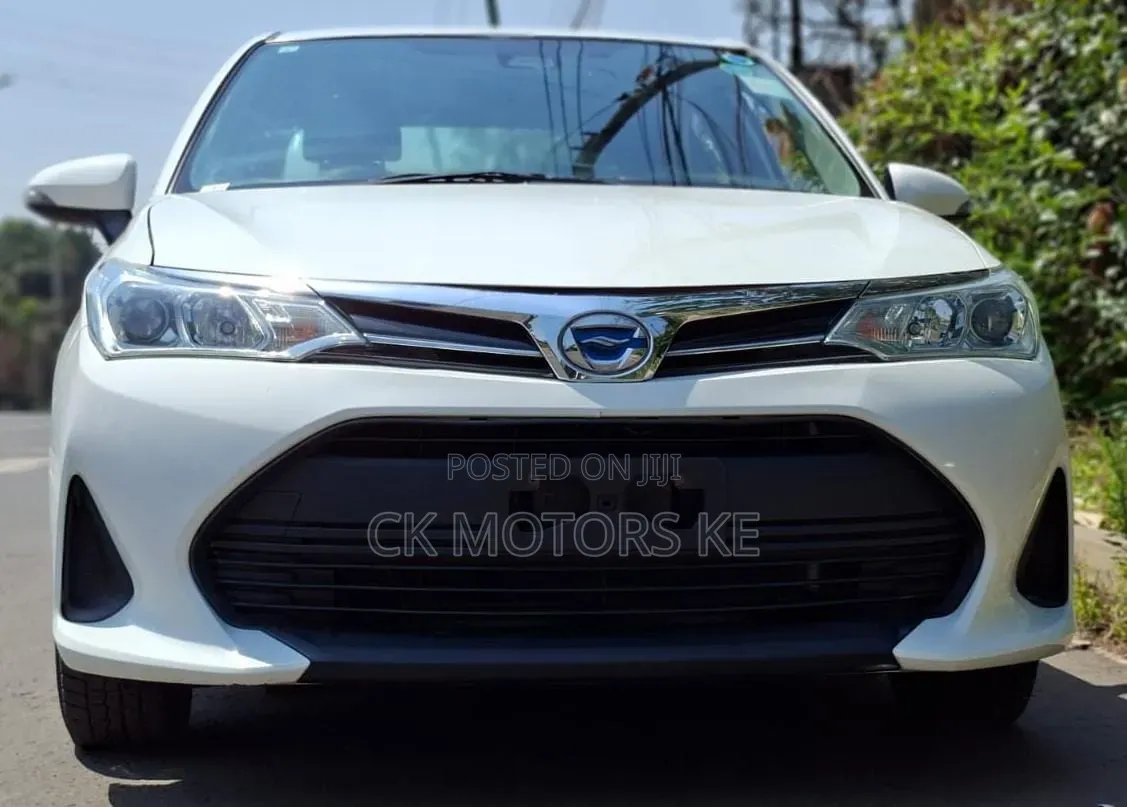 Toyota Axio 2019 White